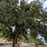Tatil Evi Popi S House Poúlithra