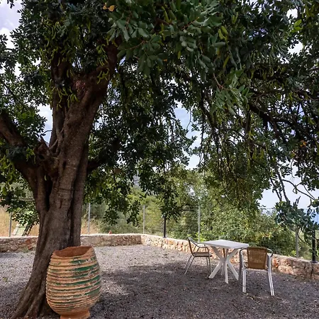 Popi S House Σπίτι διακοπών