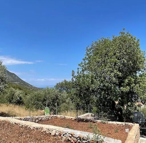 Popi S House Nyaraló *