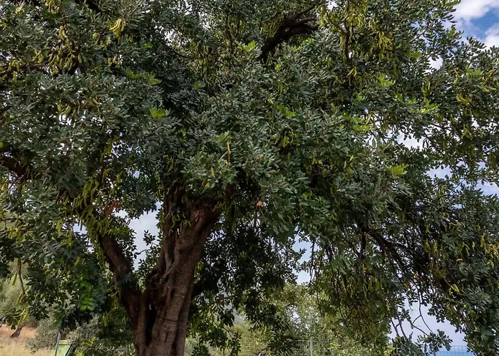 Ferienhaus Popi S House Poúlithra